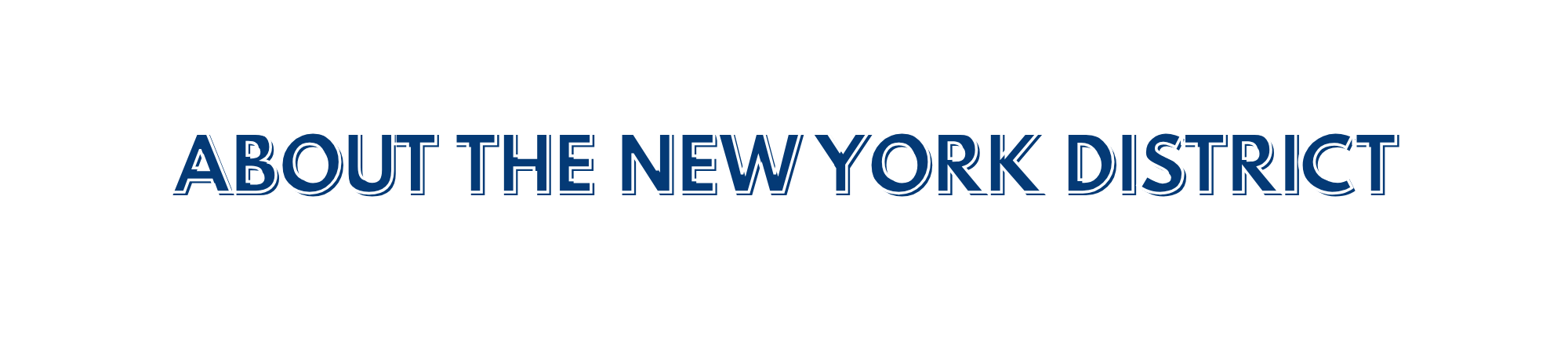 About the New York District